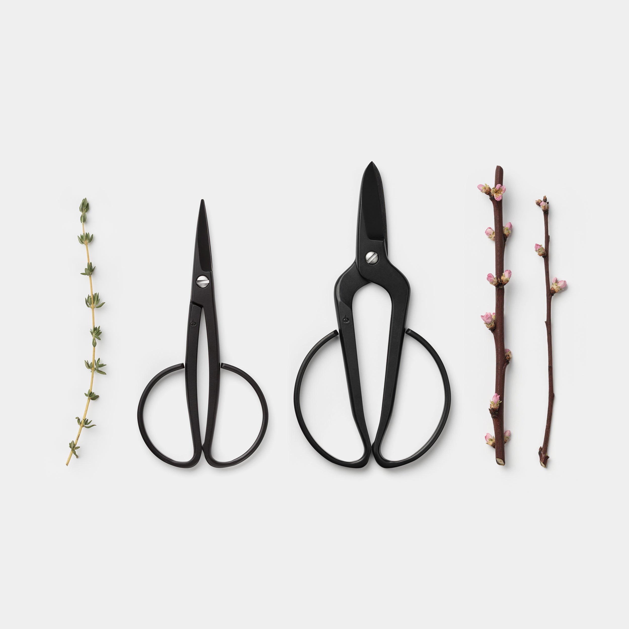 Kobayashi Gardening Scissors, Harvester & Florist from Top