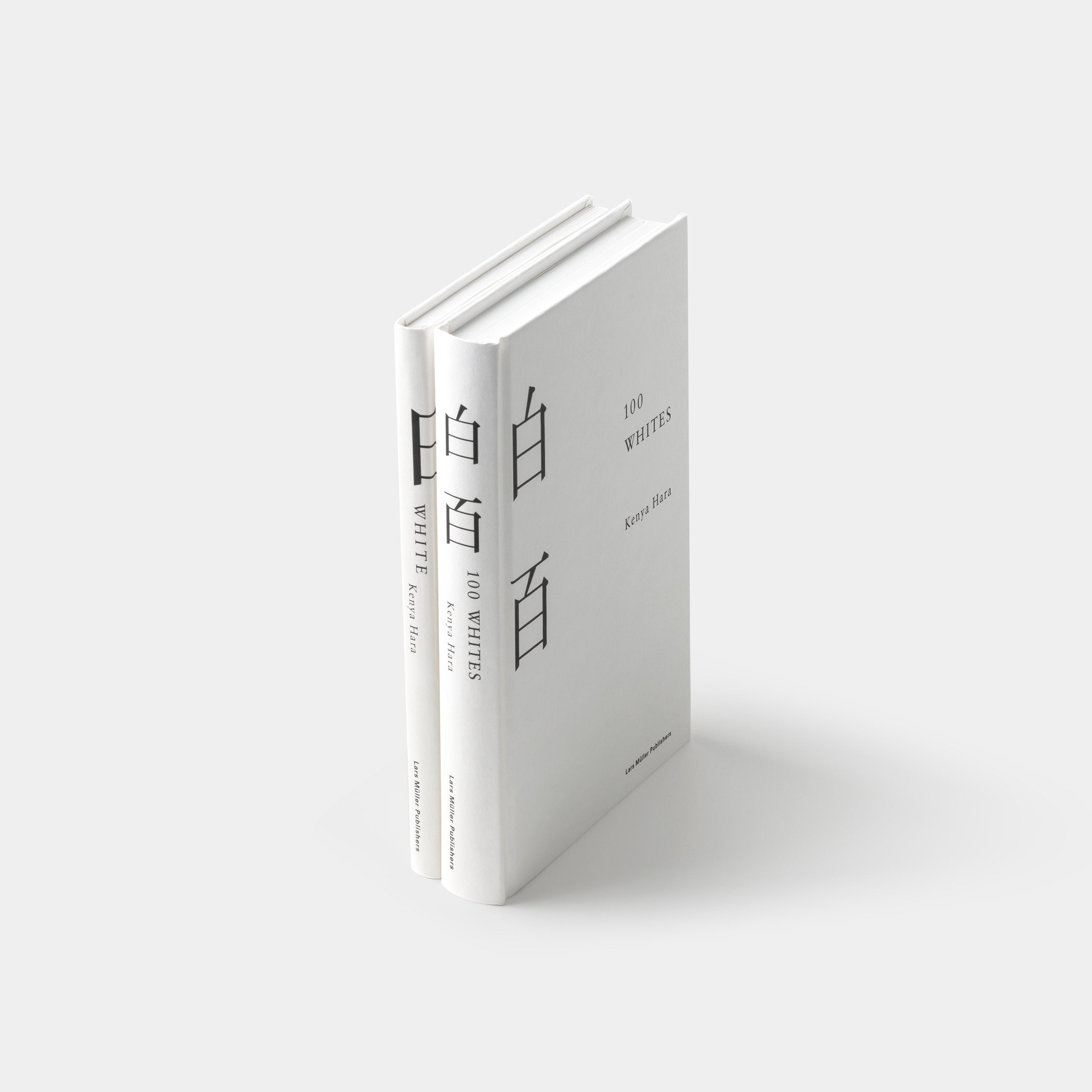 White + 100 Whites by Kenya Hara