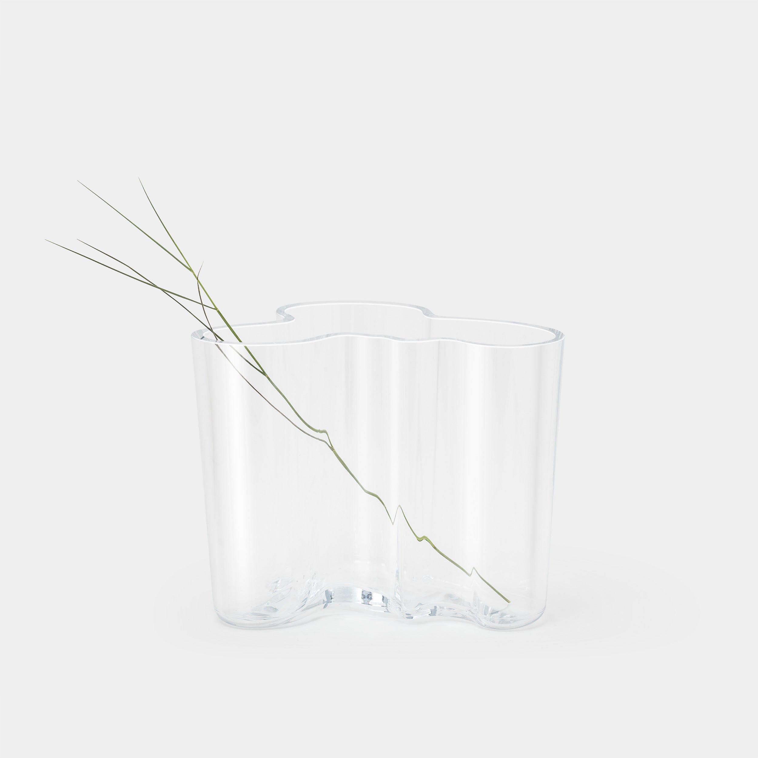 Aalto Vase with wild grass