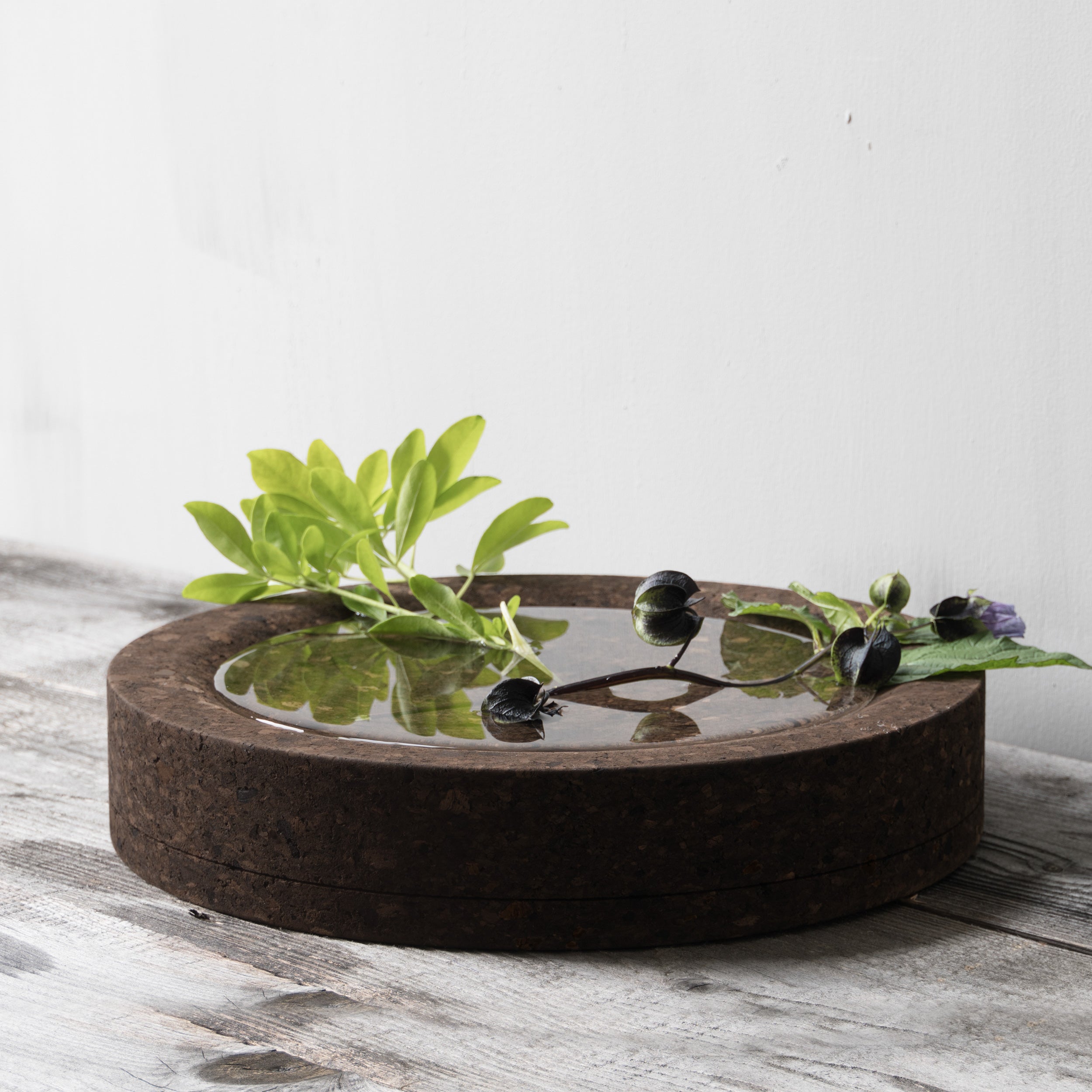 Corkinho Mother Bowl with plant